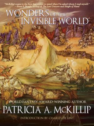 Cover of the book Wonders of the Invisible World by Ellen Klages