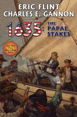 Cover of the book 1635: The Papal Stakes by Larry Correia