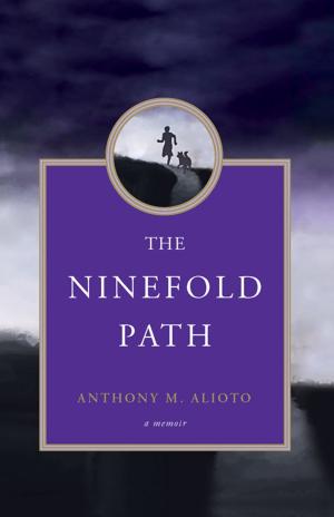 Cover of the book The Ninefold Path by Jean Shinoda Bolen
