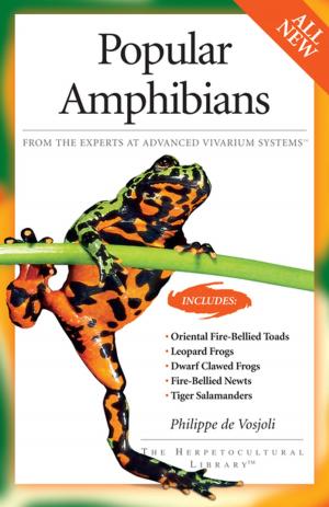 Cover of the book Popular Amphibians by Philippe De Vosjoli, Roger Klingenberg, Roger Tremper, Brian Viets