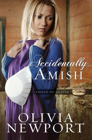 Cover of the book Accidentally Amish by John Hudson Tiner