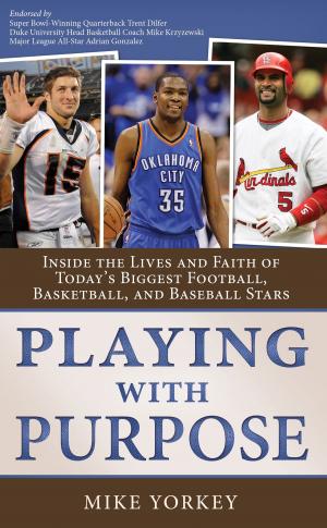 Cover of the book Playing With Purpose Collection by Renae Brumbaugh