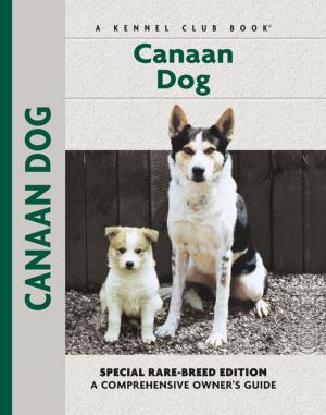 Cover of the book Canaan Dog by Nona Kilgore Bauer