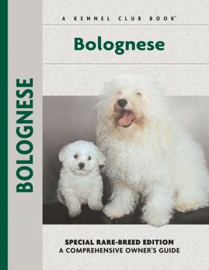 Cover of the book Bolognese by Alan Bridgewater, Gill Bridgewater