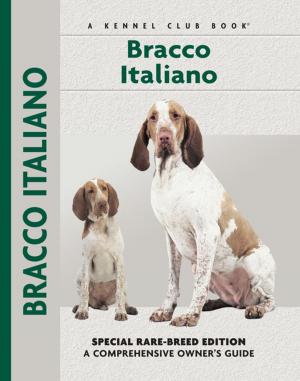 Cover of the book Bracco Italiano by Juliette Cunliffe
