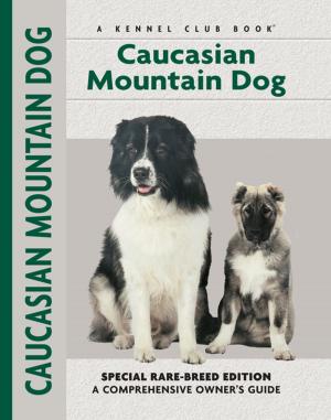 Cover of the book Caucasian Mountain Dog by Yvette Uroshevich