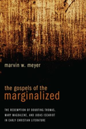 Cover of the book The Gospels of the Marginalized by Schubert M. Ogden