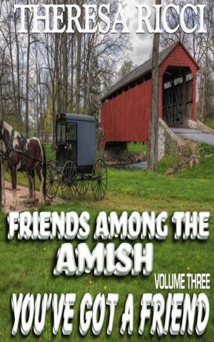 Cover of the book Friends Among The Amish - Volume 3 - You've Got A Friend by Kathi Macias
