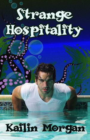 Cover of the book Strange Hospitality by Korin I. Dushayl