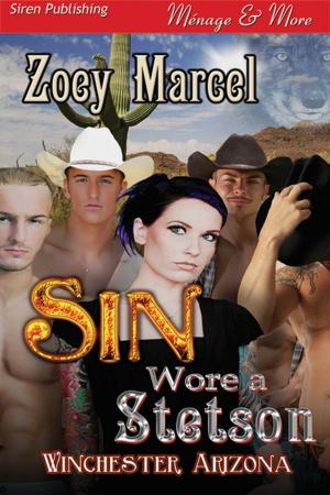 Cover of the book Sin Wore a Stetson by Heather Rainier
