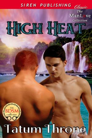 Cover of the book High Heat by Clair de Lune