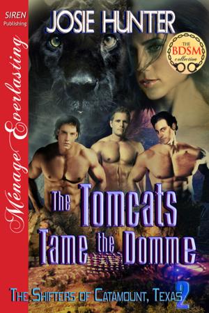 Cover of the book The Tomcats Tame the Domme by Effrosyni Moschoudi