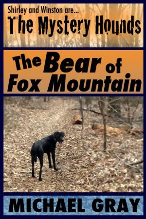 Book cover of The Mystery Hounds: The Bear of Fox Mountain