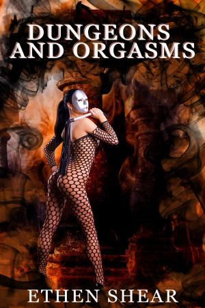 Cover of the book Dungeons and Orgasms by Blaine Teller