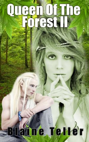 Cover of the book Queen of the Forest II by Mackenzie Harnden