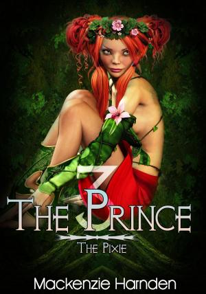 Cover of the book The Prince III: The Pixie by Julles Munsen