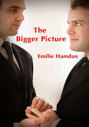Cover of the book The Bigger Picture by Eric Resher