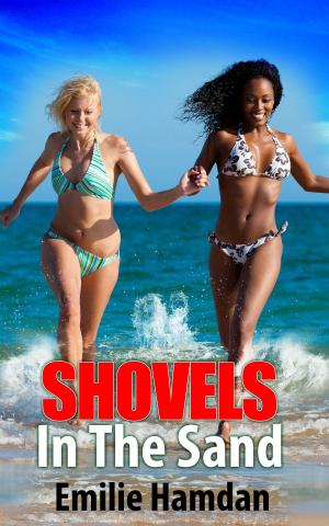 Cover of the book Shovels in the Sand by Nichole Rogue