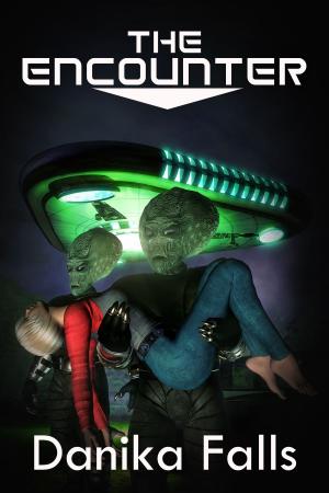 Cover of the book The Encounter by Anna Belle