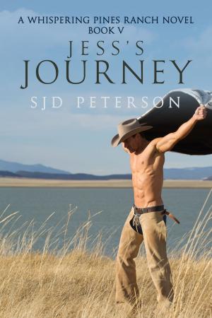 Cover of the book Jess's Journey by Jenn Burke
