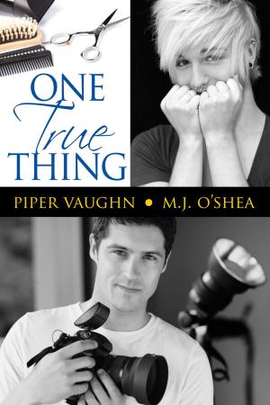 Cover of the book One True Thing by J.S. Cook