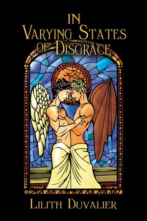 Cover of the book In Varying States of Disgrace by Claire Ashgrove
