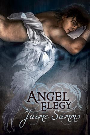 Cover of the book Angel Elegy by Jenn Burke