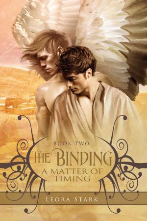 Cover of the book The Binding: A Matter of Timing by Elizabeth Noble
