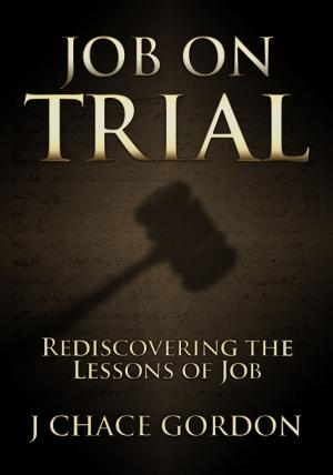 Cover of the book Job on Trial by Edith Brady-Lunny, Steve Vogel
