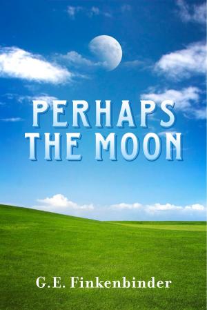 Cover of the book Perhaps the Moon by jeri williams