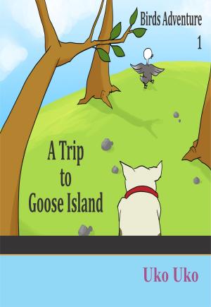 Cover of the book Birds Adventure 1 by Marianna Torgovnick