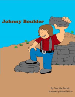Cover of the book Johnny Boulder by Rick Namey