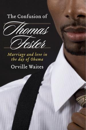 Cover of the book The Confusion of Thomas Fester by Joanna Hackett