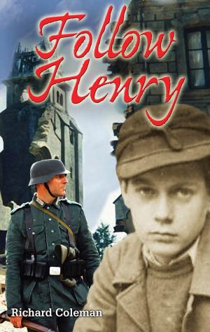 Cover of the book Follow Henry by Shirley Raye Redmond, Jennifer McKerley