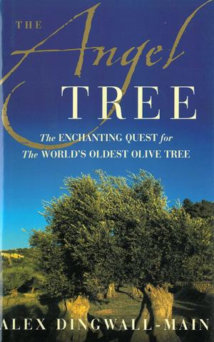 Cover of the book The Angel Tree by Dan Brown