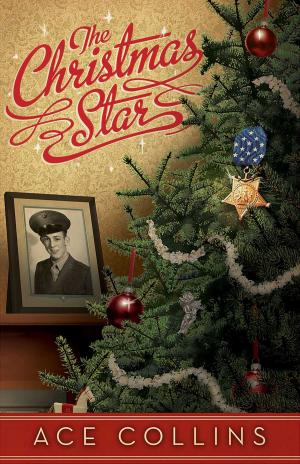 Cover of the book The Christmas Star by Sandra D. Bricker