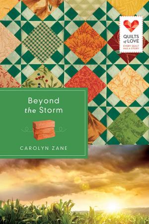 Cover of the book Beyond the Storm by Lynette Sowell