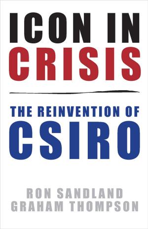 Book cover of Icon in Crisis