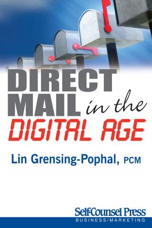 Cover of the book Direct Mail in the Digital Age by Geraldine Santiago, Alma Pasic, Frank Dodich, Hilde Deprez