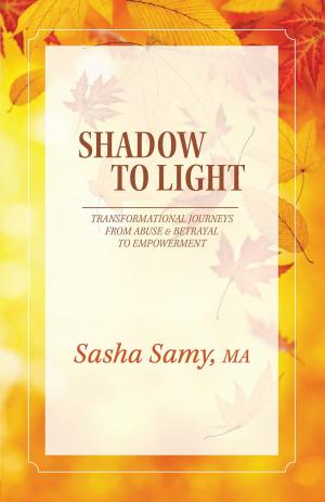 Cover of the book SHADOW TO LIGHT by John A. Adams Jr.