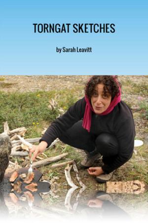 Cover of the book Torngat Sketches by Gwendolyn MacEwen
