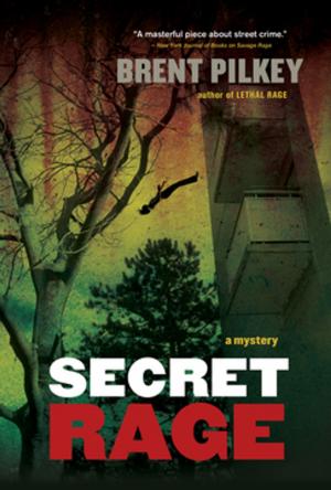 Cover of the book Secret Rage by Michelle Berry
