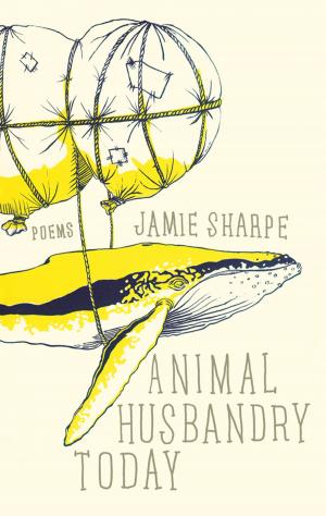 Cover of the book Animal Husbandry Today by Robert Priest