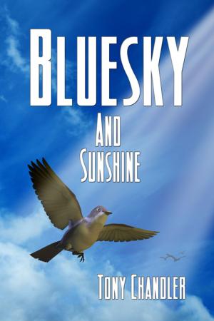 Book cover of Bluesky And Sunshine