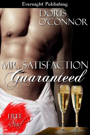 Cover of the book Mr. Satisfaction Guaranteed by Sam Crescent
