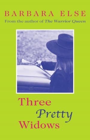 Cover of the book Three Pretty Widows by Jill Harris