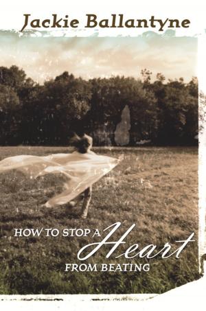 Cover of the book How to Stop a Heart from Beating by Maxine Alterio