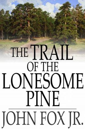 Book cover of The Trail of the Lonesome Pine