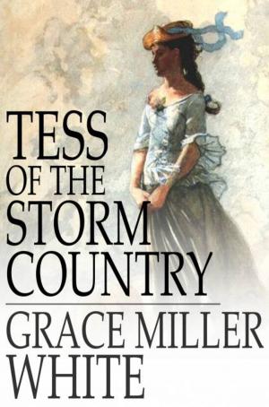 Cover of the book Tess of the Storm Country by R. D. Blackmore