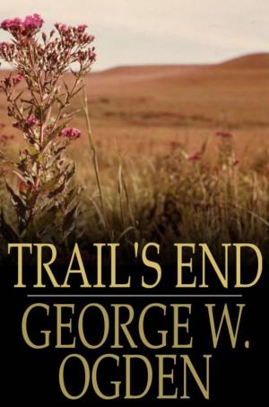 Cover of the book Trail's End by Bob Brown